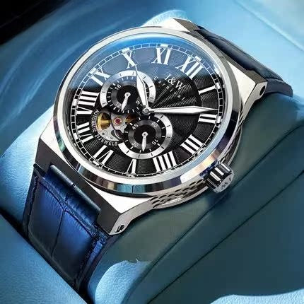 U.M | I&W CARNIVAL Luxury Automatic Mechanical Watch for Men